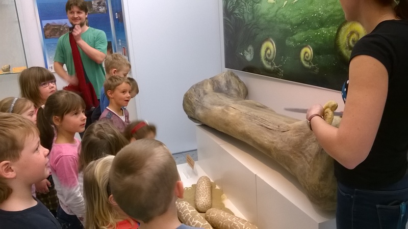 Muzeum Zln - hrtky s pravkmi zvaty