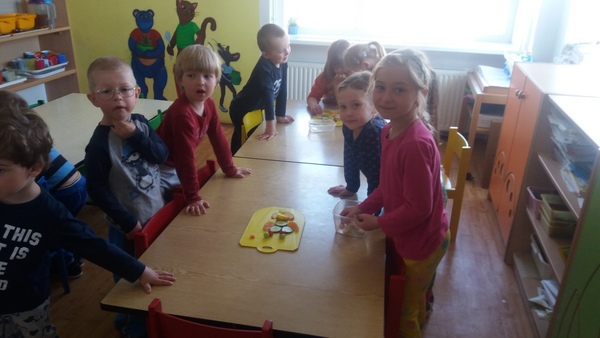Program zdrav ptka