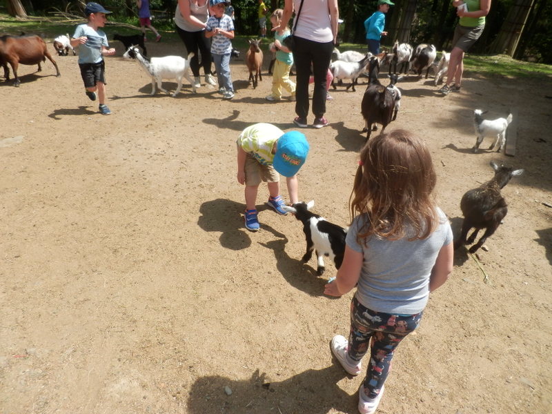 Zoo Olomouc 