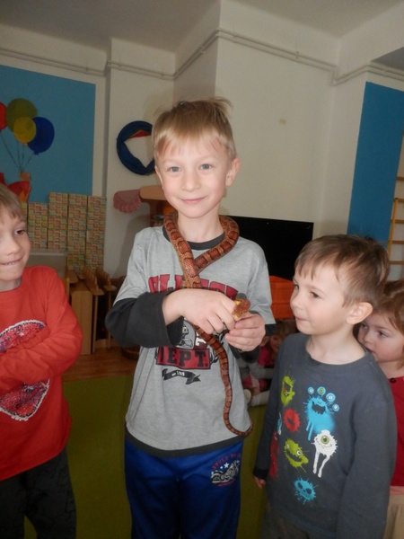 Vukov program Povdn se zvtky II.