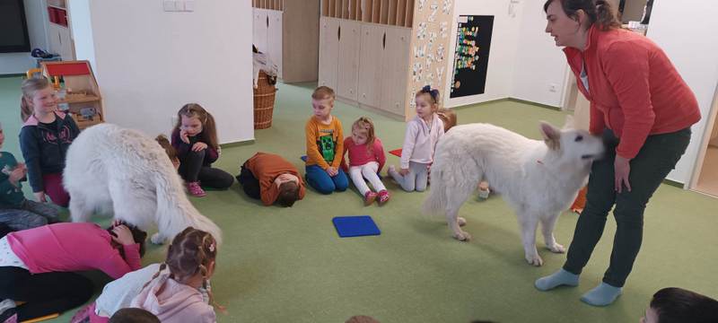 Vukov program u skorek  - Poznej svho psa 