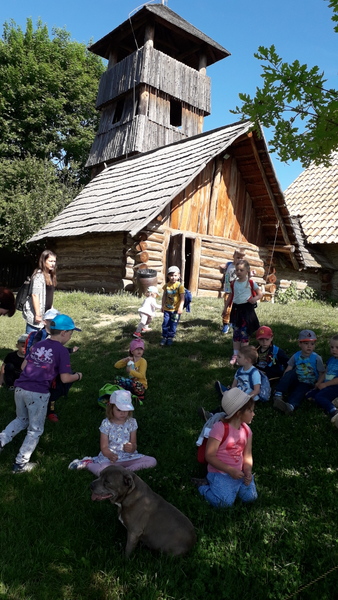 Vlet Modr a iv voda